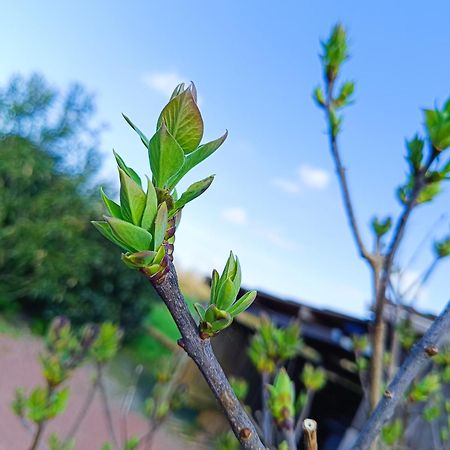 Le Gite Le Marillet Thorigny  Ngoại thất bức ảnh